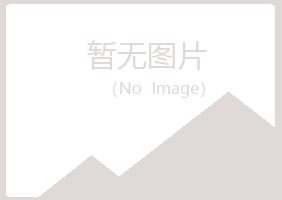 五大连池如霜能源有限公司